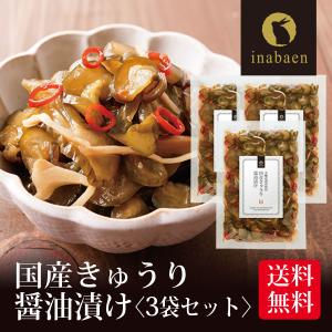 漬物 国産きゅうり醤油漬け 100g 3個セット メール便 送料無料 漬け物 国産 非常食 ポイント消化｜日本橋いなば園