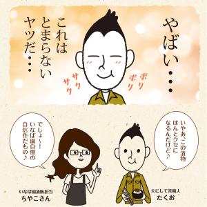 漬物 国産きゅうり醤油漬け 100g メール便...の詳細画像2