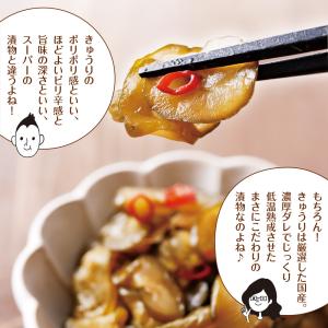 漬物 国産きゅうり醤油漬け 100g メール便...の詳細画像3