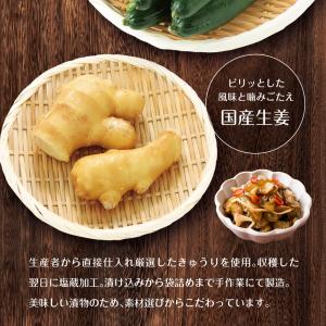 漬物 国産きゅうり醤油漬け 100g メール便...の詳細画像5