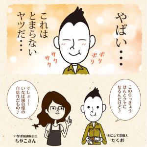 漬物 しゃきしゃき らっきょう 甘酢漬け 14...の詳細画像2