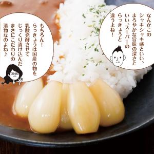 漬物 しゃきしゃき らっきょう 甘酢漬け 14...の詳細画像3