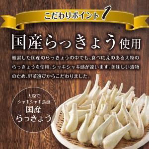 漬物 しゃきしゃき らっきょう 甘酢漬け 14...の詳細画像4