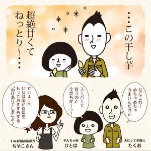 干し芋 わけあり干し芋 茨城県産 紅はるか 2...の詳細画像2