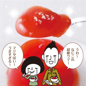 塩トマトゼリー 10個セット 送料無料 かけて...の詳細画像5