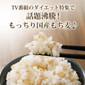 Z BS 3月末頃発送 もち麦 国産 九州産 ...の詳細画像2