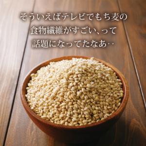 Z BS 3月末頃発送 もち麦 国産 九州産 ...の詳細画像5