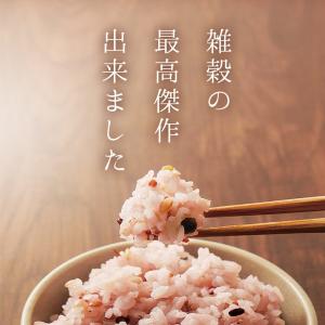 雑穀米 雑穀 国産 にっぽんの二十五穀 450...の詳細画像1