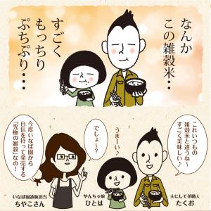 雑穀米 雑穀 国産 にっぽんの二十五穀 450...の詳細画像3