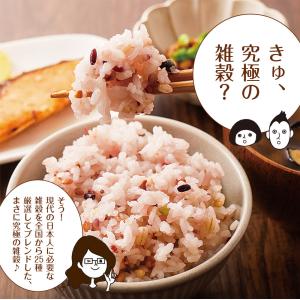 雑穀米 雑穀 国産 にっぽんの二十五穀 450...の詳細画像4