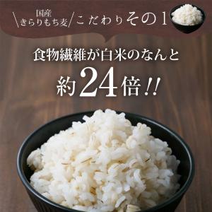 きらりもち麦 国産 北海道産 800g 国産も...の詳細画像5