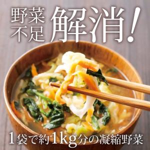 乾燥野菜ミックス 九州産 国産 干し野菜 ドラ...の詳細画像1