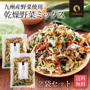 乾燥野菜ミックス 九州産 国産 干し野菜 ドラ...の詳細画像2