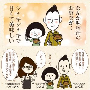 乾燥野菜ミックス 九州産 国産 干し野菜 ドラ...の詳細画像3