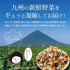 乾燥野菜ミックス 九州産 国産 干し野菜 ドラ...の詳細画像5