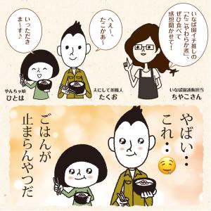 たこやわらか煮 3個セット 北海道産 ご飯のお...の詳細画像2