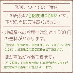 お中元 ギフト 最短発送受付中 御中元 夏ギフ...の詳細画像4
