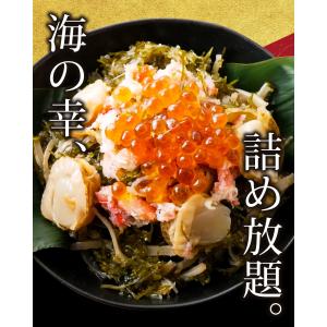 Z 松前漬け 北海道箱館直送 海鮮松前漬け 冷...の詳細画像1