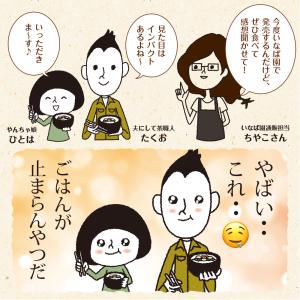 Z 松前漬け 北海道箱館直送 海鮮松前漬け 冷...の詳細画像4