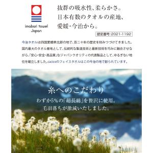 今治タオル プレミアム プチ バスタオル メー...の詳細画像4