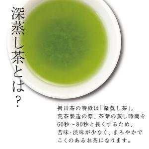 高級煎茶 深蒸し掛川茶 100g袋入×3本セッ...の詳細画像1