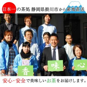 高級煎茶 深蒸し掛川茶 100g袋入×3本セッ...の詳細画像3