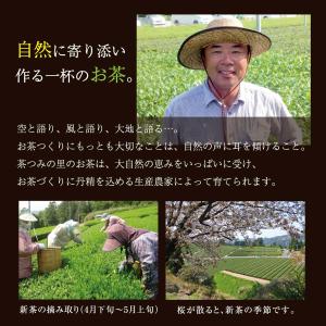 高級煎茶 深蒸し掛川茶 100g袋入×3本セッ...の詳細画像5