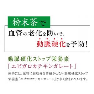 緑茶 粉末 業務用 粉末玄米茶 大容量 500...の詳細画像1