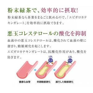 緑茶 粉末 業務用 粉末玄米茶 大容量 500...の詳細画像2
