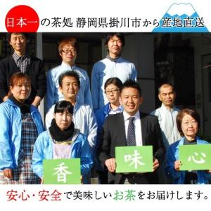 緑茶 粉末 業務用 粉末玄米茶 大容量 500...の詳細画像4