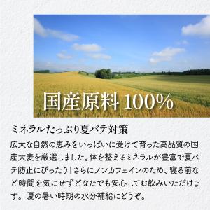 麦茶 ティーバッグ12g×32包入 国産麦10...の詳細画像3