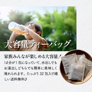 麦茶 ティーバッグ12g×32包入 国産麦10...の詳細画像4