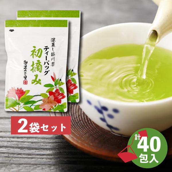 初摘み ティーバッグ 3g×20包×2パック 糸付き ナイロン 緑茶 ティーパック 静岡県産 深蒸し...