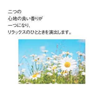 オーガニック カモミールほうじ茶 2.5g×3...の詳細画像3