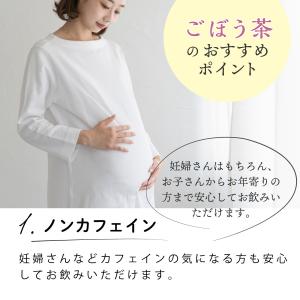 国産 ごぼう茶 2g×50包入 ティーバッグ ...の詳細画像3