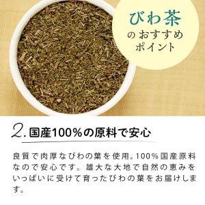 国産 びわ茶 ティーバッグ 3g×50包 ノン...の詳細画像4