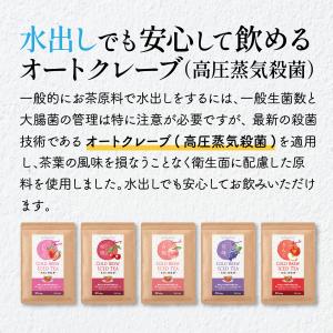 5種のフルーツフレーバー 水出し 和紅茶 ティ...の詳細画像3