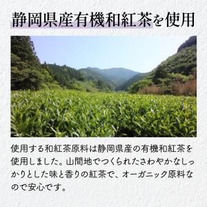 5種のフルーツフレーバー 水出し 和紅茶 ティ...の詳細画像4