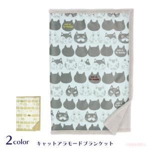 専用⭐みかん❤極暖Wボア❤特大ブランケット⭐猫ちゃん 楽天市場】たまちゃんブランケット 110×80cm ボアひざ掛け