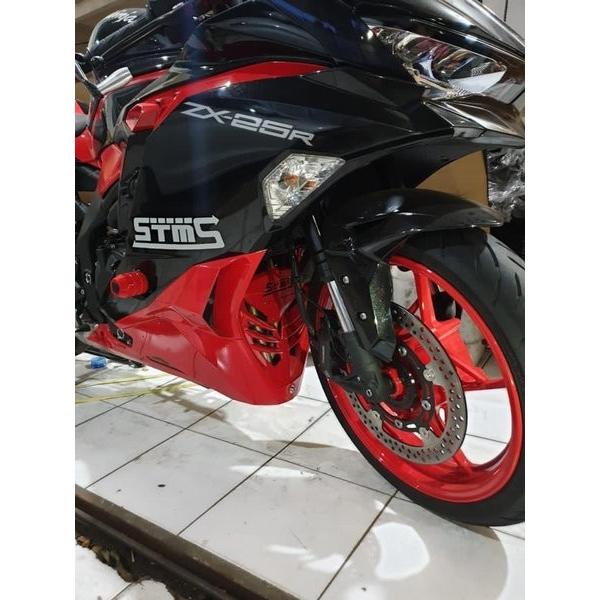 KAWASAKI ZX25R カスタムパーツ ラジエターカバー＆Vカバー フロントカウル 2点セット