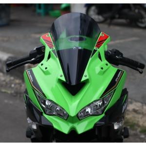 のん アクリポイント Ninja250 Ninja400 スクリーン（スモーク） ACRY