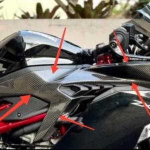 KAWASAKI ZX25R NINJA ウェットカーボン サイドウィングレット