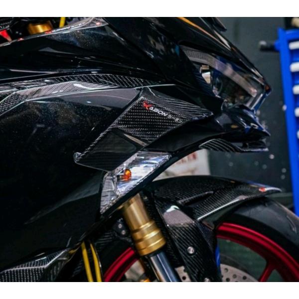KAWASAKI ZX25R NINJA ウェットカーボン サイドウィングレット ウイングレット B...