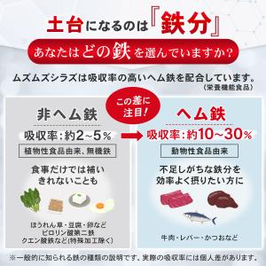 ムズムズシラズ 4個 むずむず 足 特許成分 ...の詳細画像3