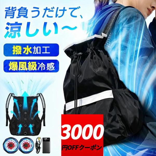 【クーポンで6,999円】ファン付き リュック 空調ベスト 空調ウェア 空調扇風服 保冷剤 空調作業...