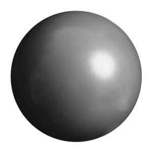 La-VIE(ラヴィ) トレーニングボール 25cm シルバー バランス