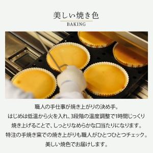 【 御用邸チーズケーキ 】 チーズガーデン ス...の詳細画像4
