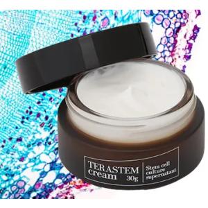 テラステムセラム（30ml）｜美容液｜水橋保寿堂製薬正規品 : 内海美容