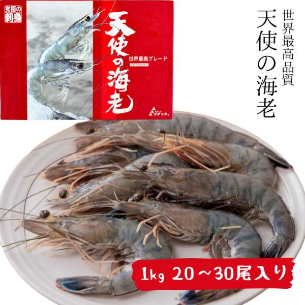 天使の海老 1kg 20~30尾 長さ約18.5cm(目から尾) ゴダック 20/30 刺身 生食 ...