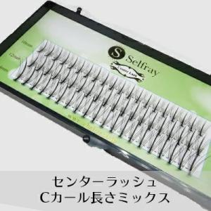 Cカール セルフマツエク 部分つけま センター...の詳細画像1